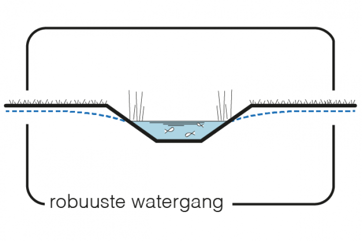 Maatregel 11 Robuuste watergang